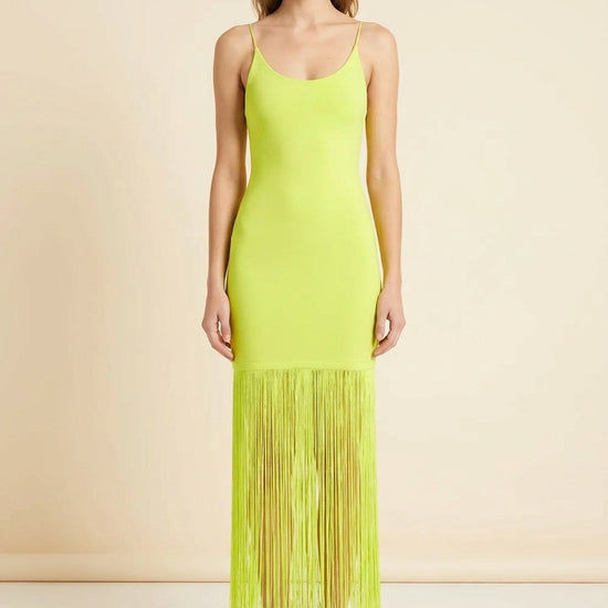 Steph Scoop Neck Fringe Dress — back view