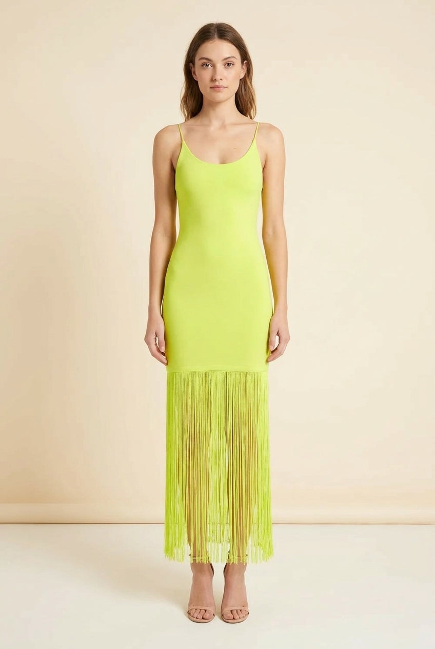 Steph Scoop Neck Fringe Dress — back view