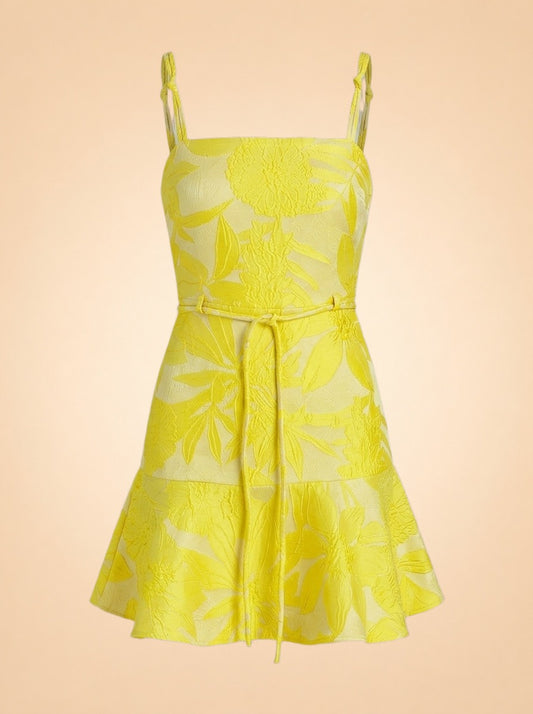 Alexis Alik Dress in Tuscan Spring (yellow) — front