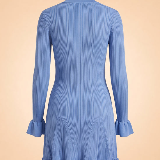 Blue Pearl Trim Knit Mini Dress ghost_back