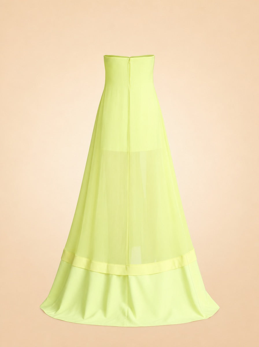Farrah Gown ghost_back