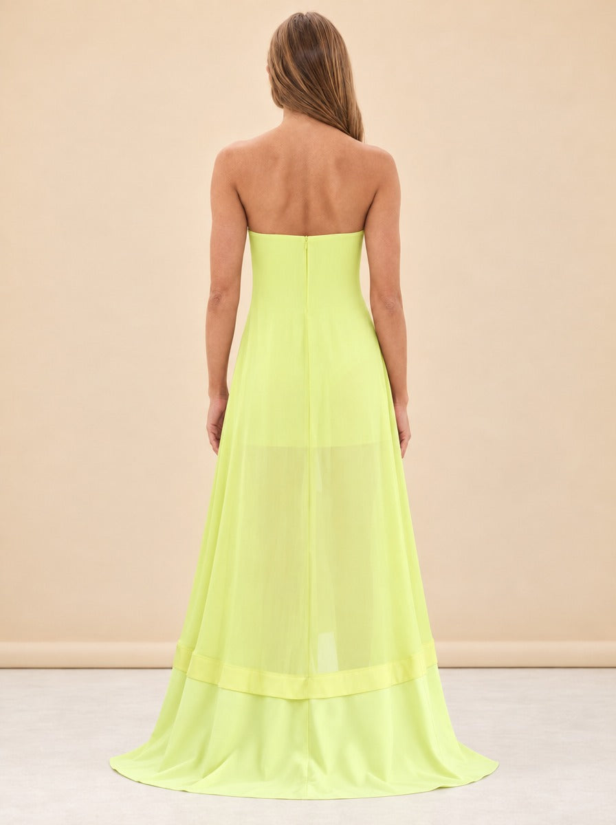 Farrah Gown model_back