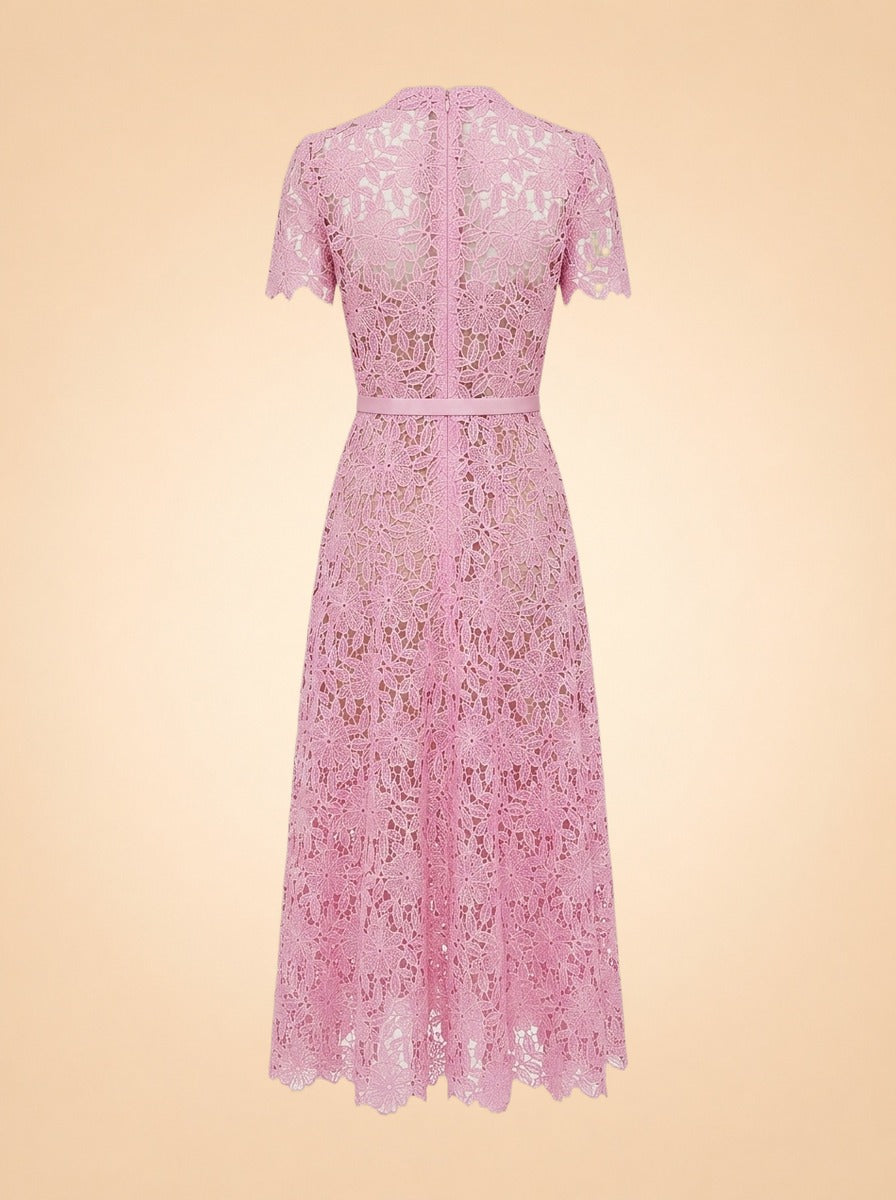 Guipure Lace Belted Midi Dress ghost_back