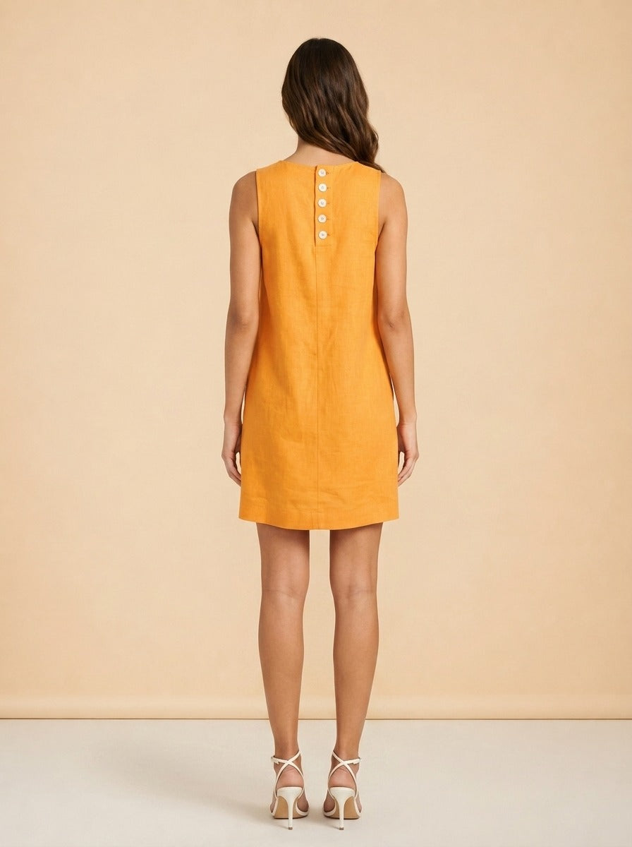 model_back