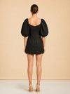 model_back
