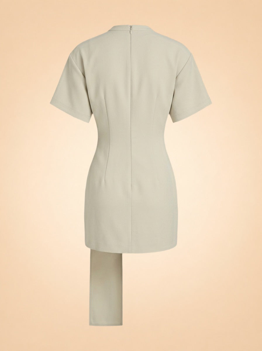 Martini Mini Dress — Lioness