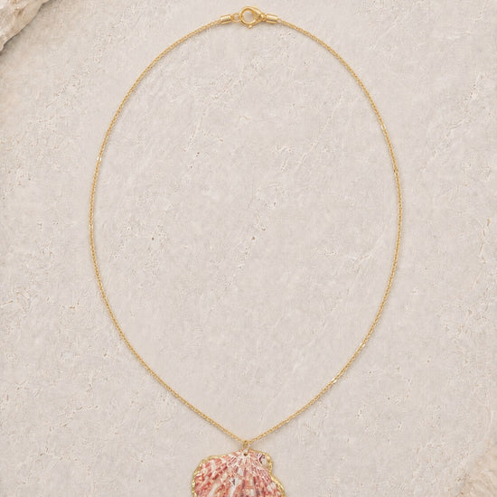 Sydney Necklace — Classic Charlotte shell jewelry